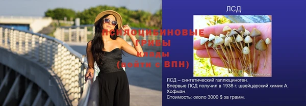 прущая мука Богородск